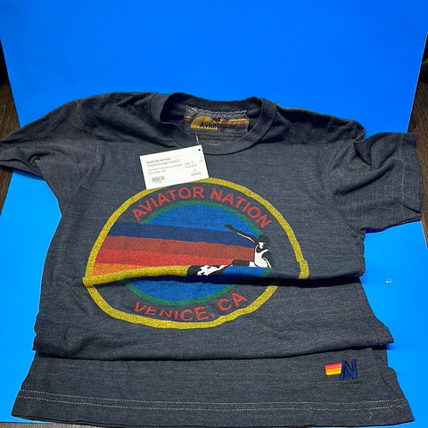 Aviator Nation Grey Circle Logo Classic T