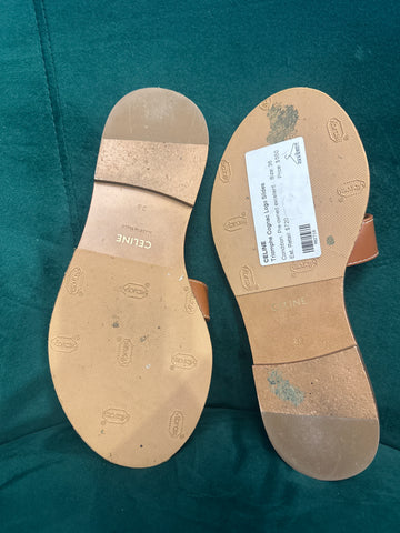 Celine Triomphe Cognac Logo Slides