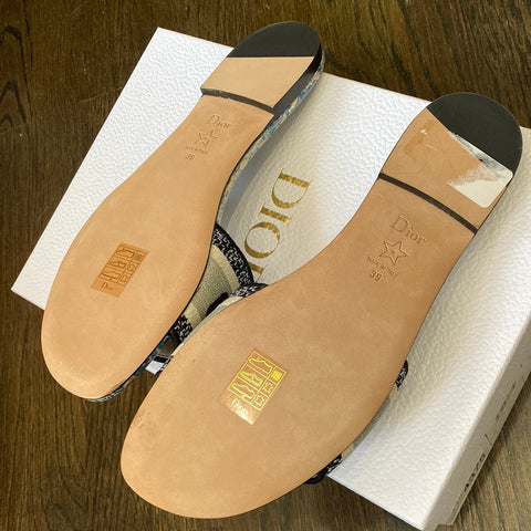 Christian Dior DWay Canard Slide Sandal
