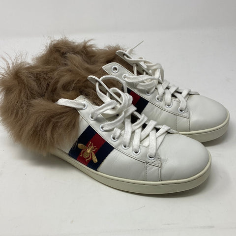 Gucci Fur Lined White leather Bumblebee Sneaker