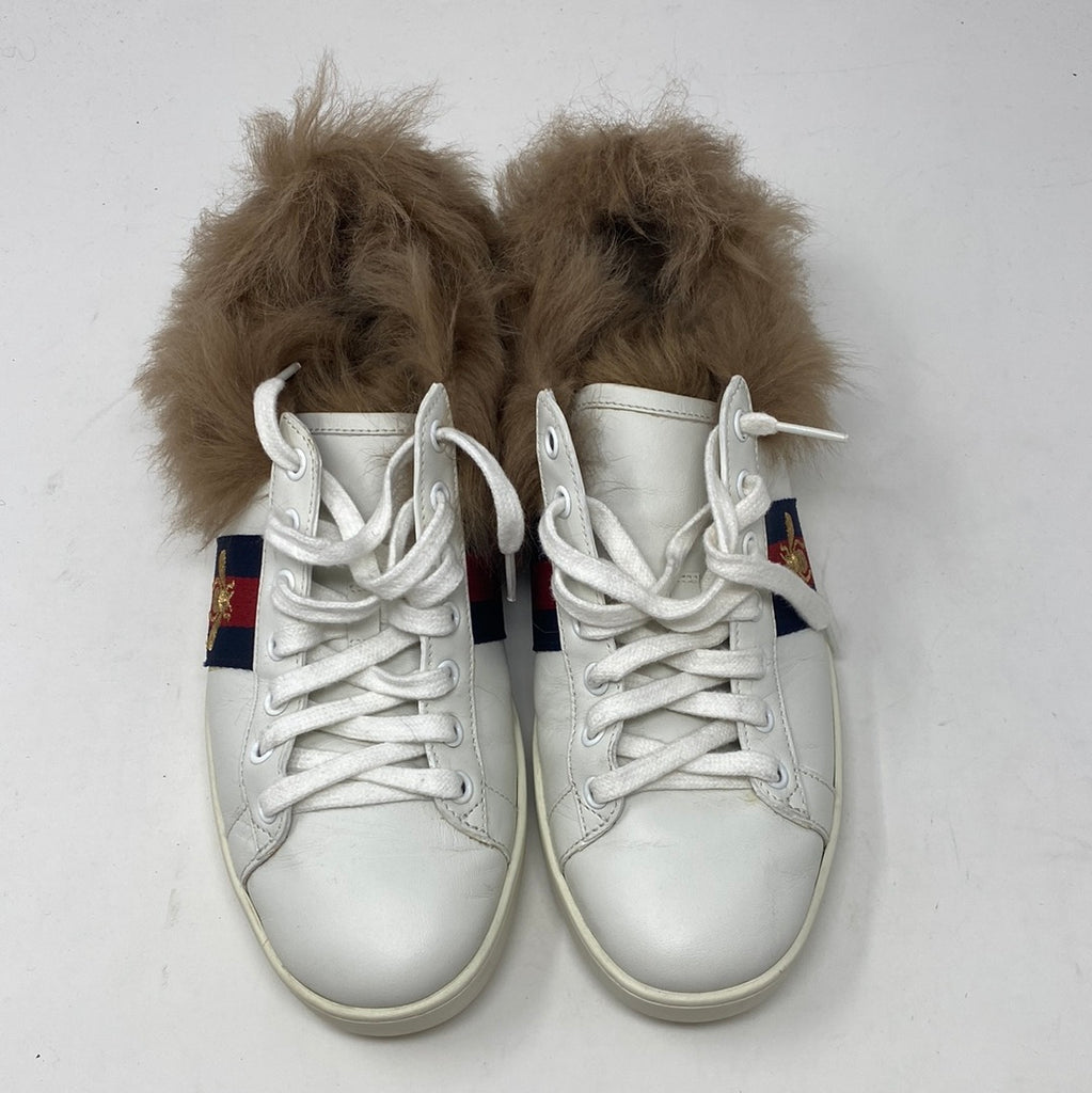 Gucci Fur Lined White leather Bumblebee Sneaker