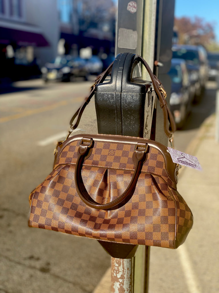 Louis Vuitton Damier Ebene PM Top Handle and Shoulder Bag – The Hangout