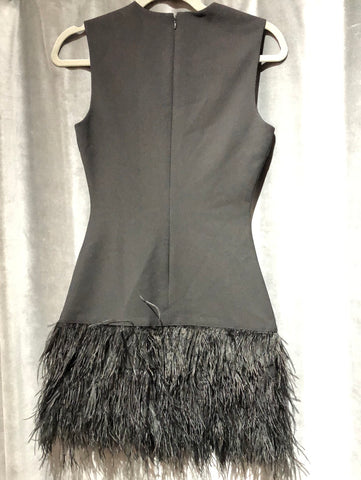 mini dress with feathers at bottom Elizabeth and James Black Sleeveless Feather Bottom Mini Dress – The Hangout