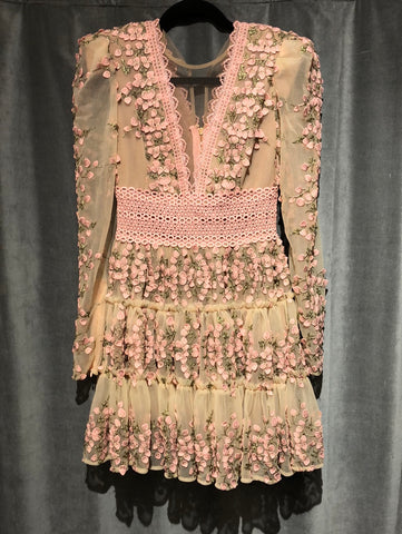 BRONX & BANCO Long Sleeve Pink and Sheer Layered Dress  The Hangout