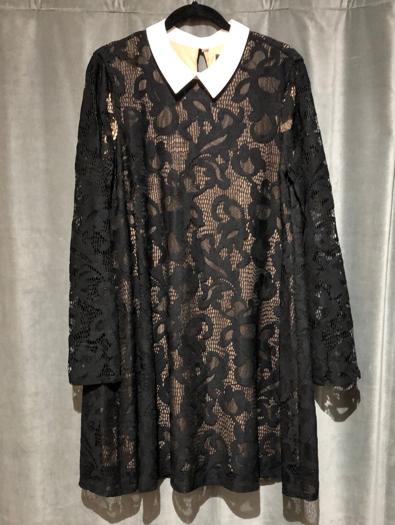 BCBG 'ROXINE' Black Long Sleeve Lace Dress with White Collar The Hangout BCBG 'ROXINE' Black Long Sleeve Lace Dress with White Collar The Hangout