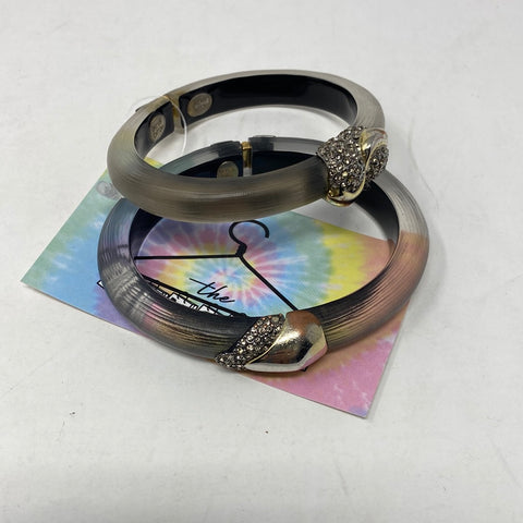Alexis Bittar Magnetic Bracelet set